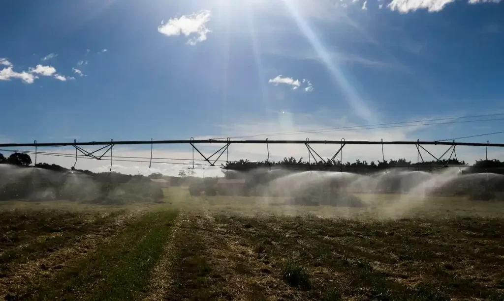 lavoura irrigação