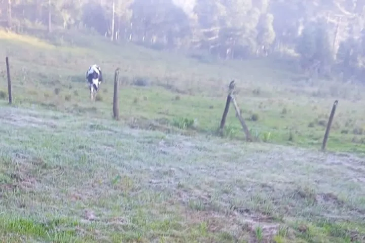 frio geada