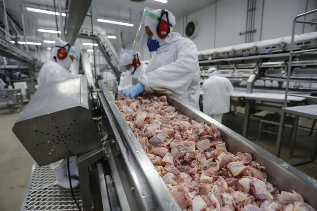 alimentos