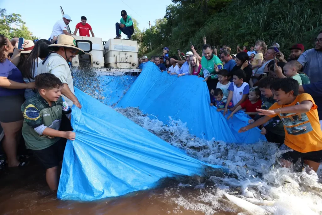 repovoamento peixes rio ivai