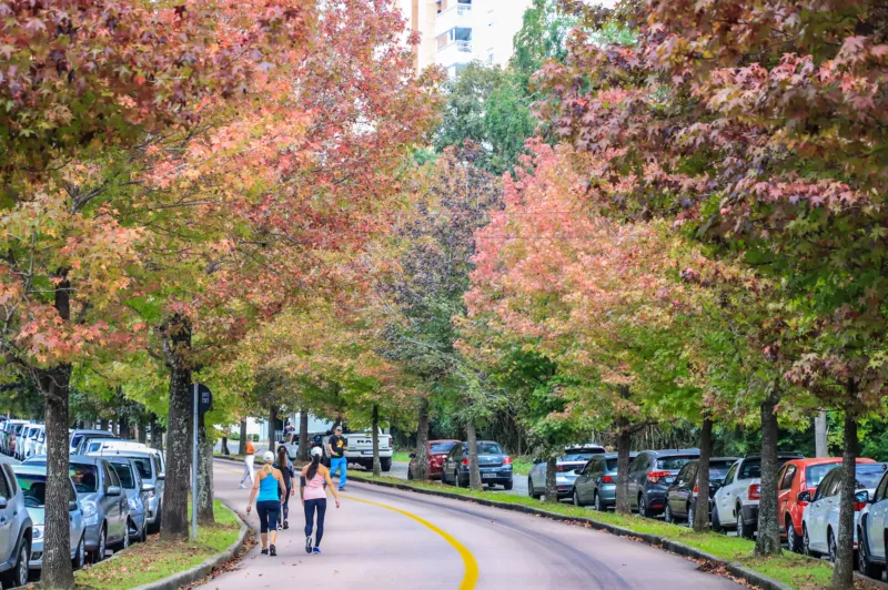 outono curitiba