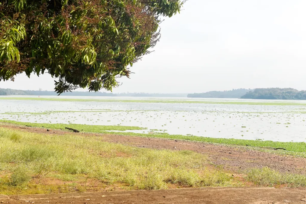 CBH Baixo Iguaçu