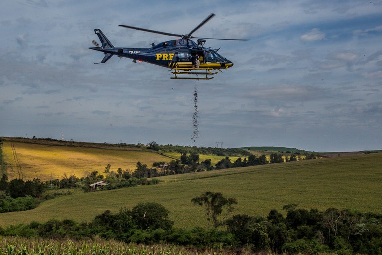 PRF Sementes Semeadura Aérea