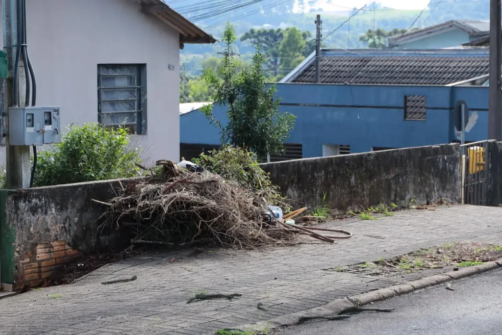 projeto brook ambiental