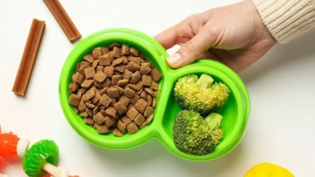 ração ou alimentação natural