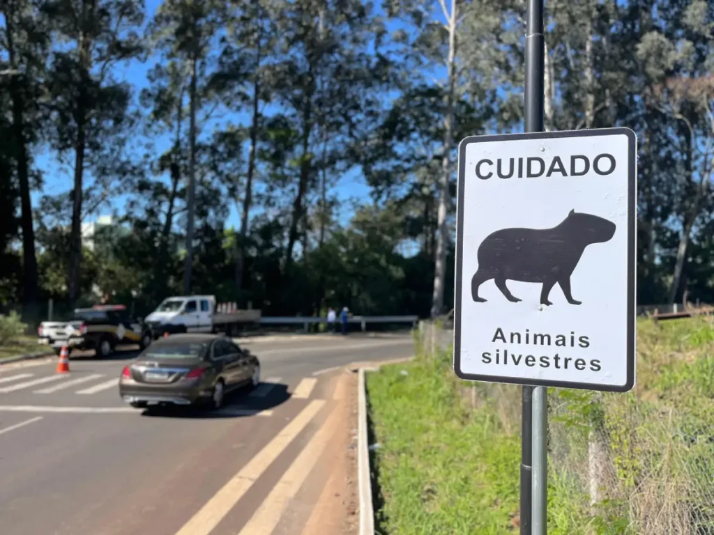 debetran animais silvestres