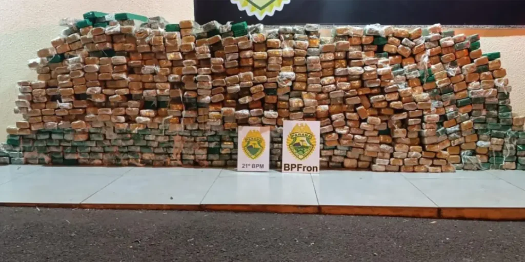 maconha pmpr francisco beltrão
