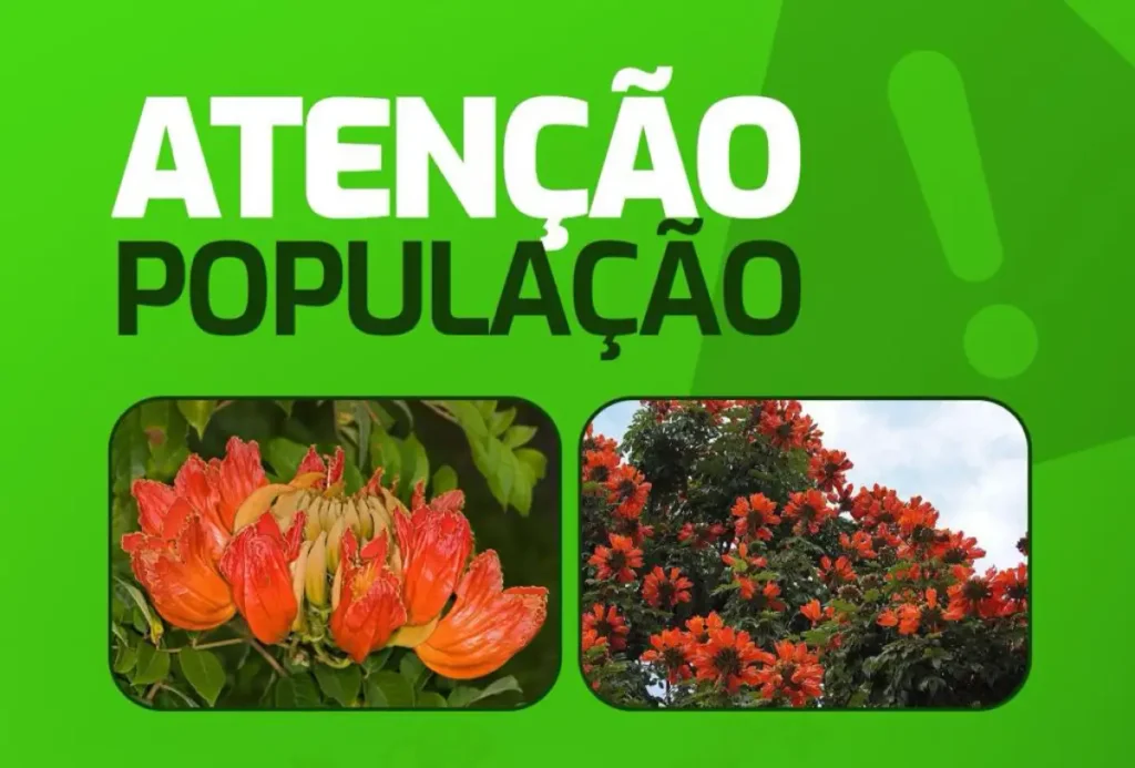 meio ambiente