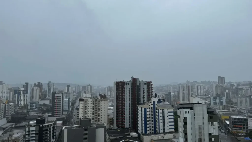 pato branco chuva