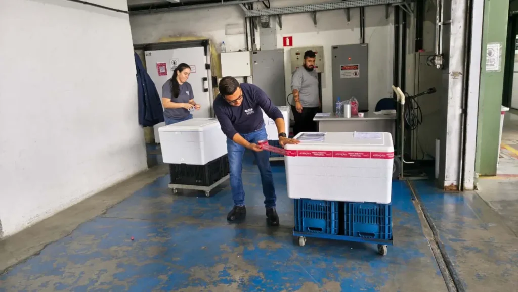 distribuição vacina virus sincicial respiratório