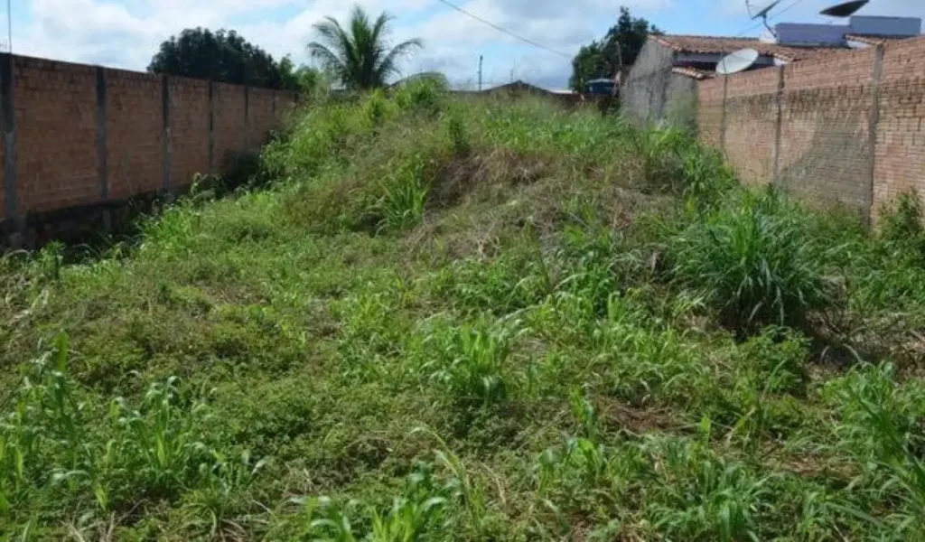 terreno sujo dois vizinhos