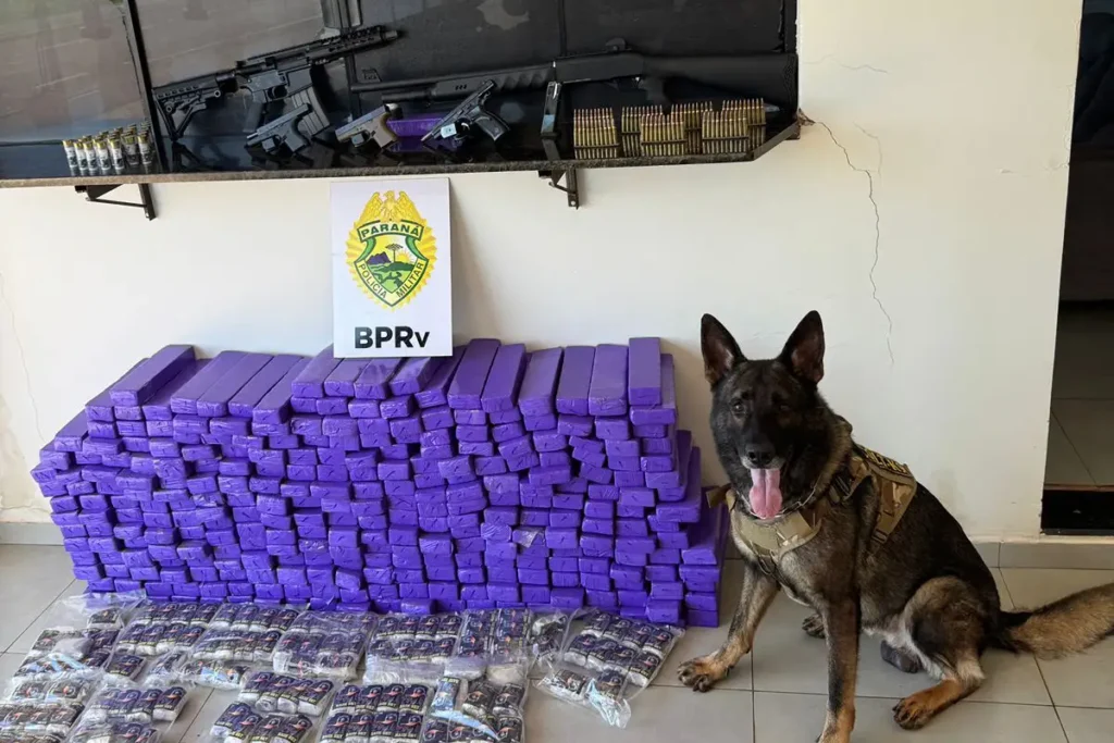 apreensão de drogas pmpr