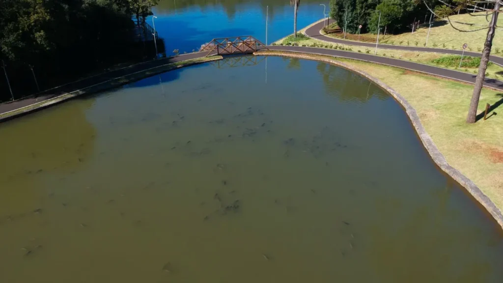 lago parque do alvorecer