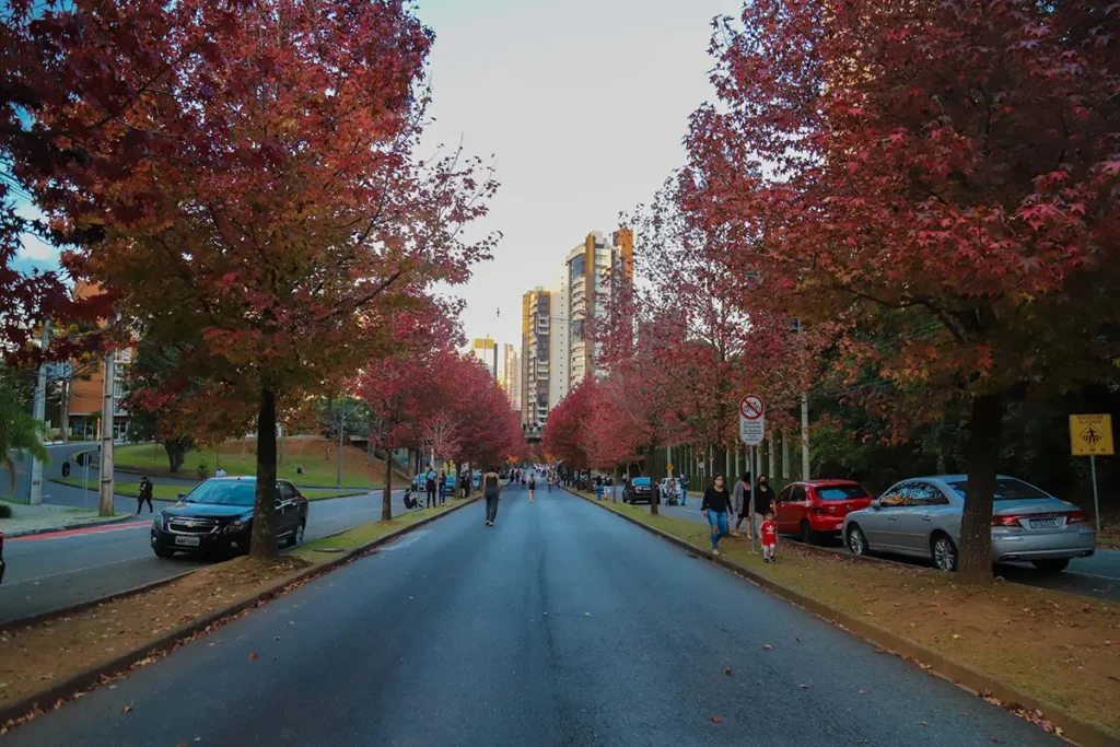 outono curitiba