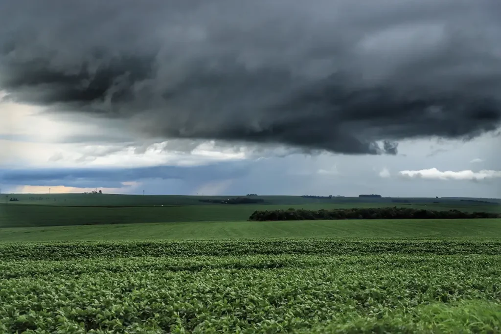 plantacao de soja chuva