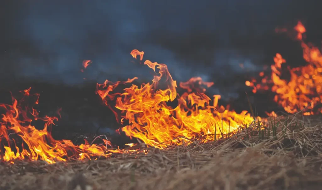 fogo incêncio