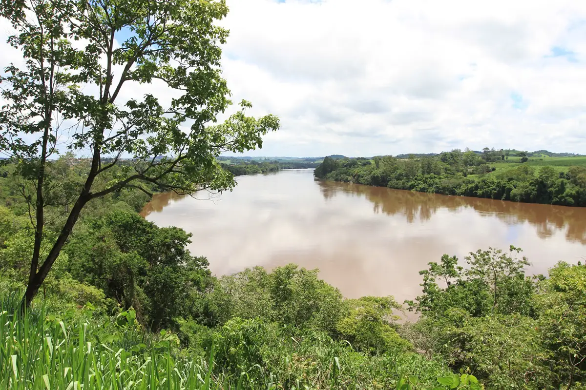 mata ciliar rio